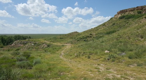 A scenic landscape featuring rolling hills, green grass, and a blue sky with fluffy clouds.