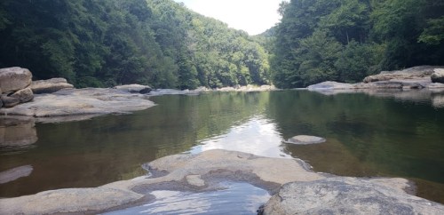A serene river scene surrounded by lush green trees and rocky banks under a clear sky.