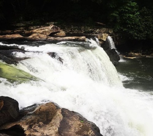 A cascading waterfall flows over rocky ledges into a serene river, surrounded by lush greenery.