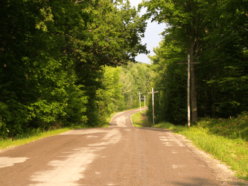 A winding road surrounded by lush green trees and power lines under a clear sky.