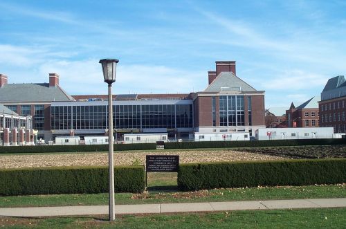 A modern building with large windows, surrounded by green hedges and a lamp post, under a clear blue sky.