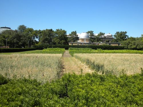 A lush green landscape with fields of wheat and a distant observatory under a clear blue sky.