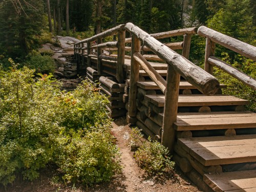A wooden bridge surrounded by lush greenery and trees, leading over a rocky path in a serene forest setting.