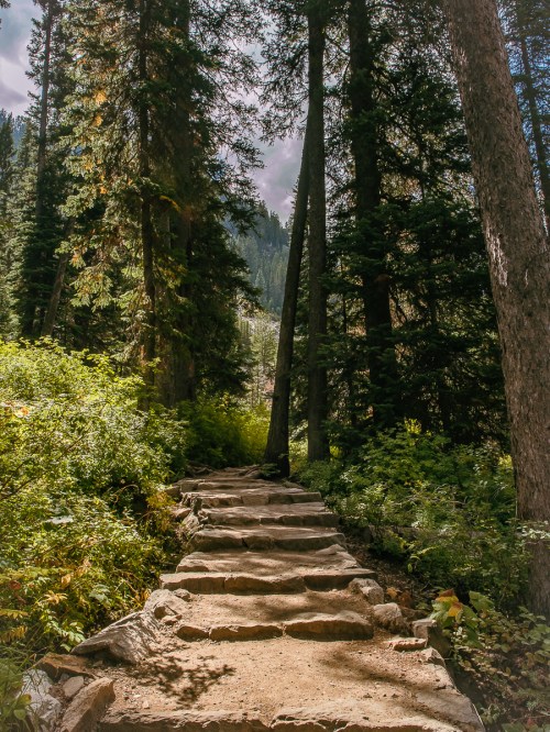 A stone pathway winds through a lush forest, surrounded by tall trees and greenery under a partly cloudy sky.