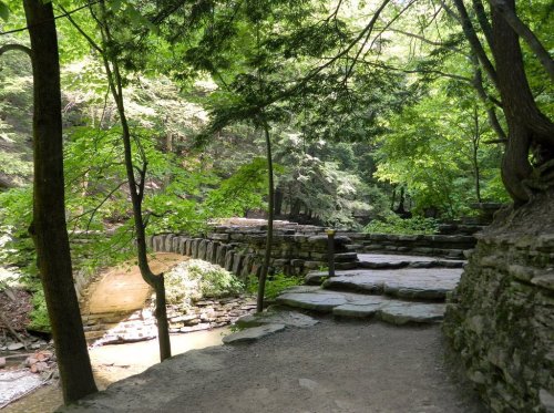 A serene forest path with stone steps and a flowing stream, surrounded by lush green trees and sunlight filtering through.