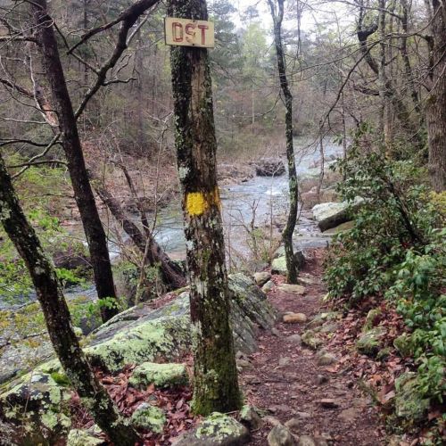 A forest trail marked by a sign on a tree, with a stream flowing nearby and moss-covered rocks along the path.