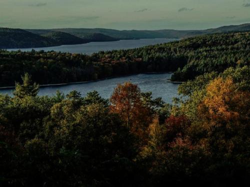 A scenic view of a lake surrounded by lush forests and autumn foliage under a cloudy sky.