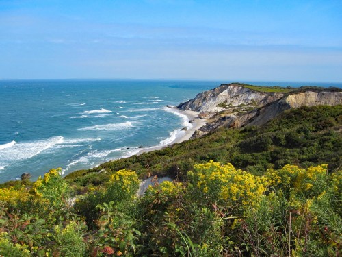 A scenic coastal view featuring cliffs, waves, and vibrant yellow flowers in the foreground under a blue sky.