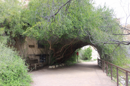 A shaded pathway leads through lush greenery, with a bench and a sign visible along the trail.