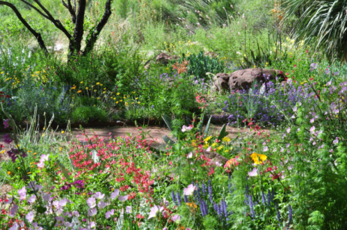 A vibrant garden filled with colorful flowers, greenery, and rocks, creating a lush, natural landscape.