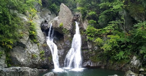 A serene waterfall cascades over rocky cliffs into a tranquil pool, surrounded by lush green foliage.
