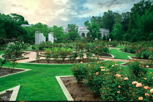 A lush garden filled with colorful rose bushes, winding paths, and a cloudy sky in the background.