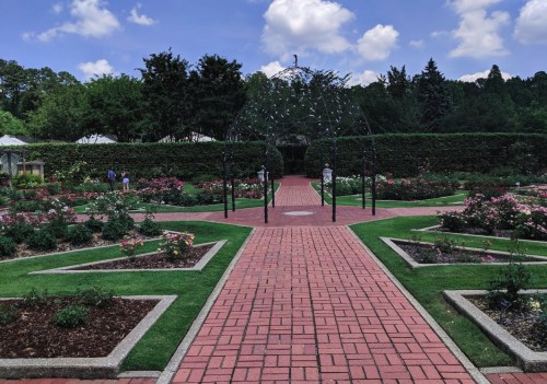 A landscaped garden with a brick pathway, rose bushes, and a decorative arch under a blue sky with fluffy clouds.