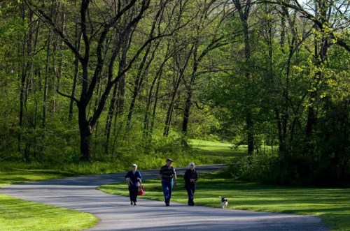 Three people walk along a winding path in a lush green park, accompanied by a small dog.