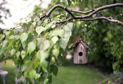 A rustic birdhouse hanging from a tree branch, surrounded by lush green leaves in a serene garden setting.
