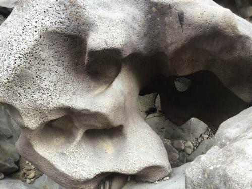 A close-up of textured, weathered rock formations with hollowed shapes and natural patterns.