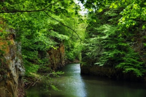 A serene river flows between lush green cliffs, surrounded by vibrant foliage and tranquil water.