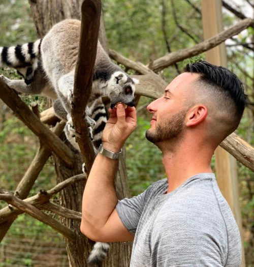 A man interacts with a lemur on a tree branch, sharing a moment in a natural setting.