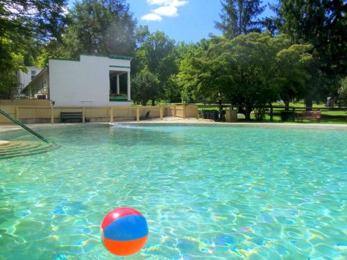 A clear swimming pool with a colorful beach ball floating, surrounded by trees and a building in the background.