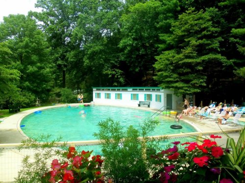 A serene outdoor pool surrounded by lush greenery, with people relaxing on lounge chairs and enjoying the water.