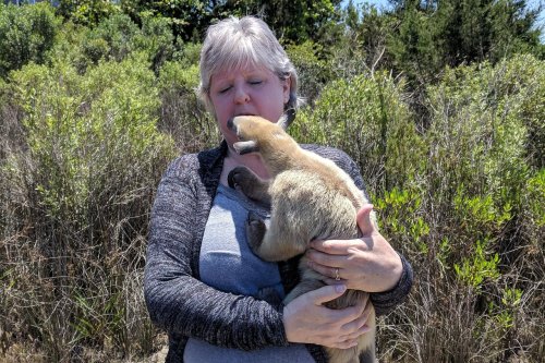 A woman holds a small animal close to her face, surrounded by greenery in a sunny outdoor setting.