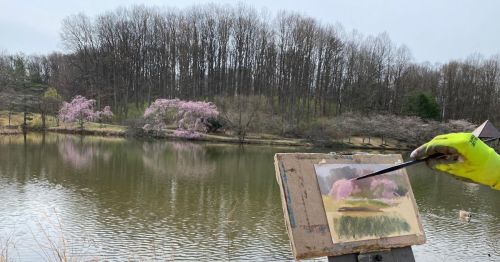 An artist paints a serene landscape with pink trees by a calm lake, surrounded by bare trees in early spring.