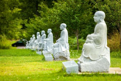 A row of serene stone Buddha statues sits on a grassy path, surrounded by trees and greenery.