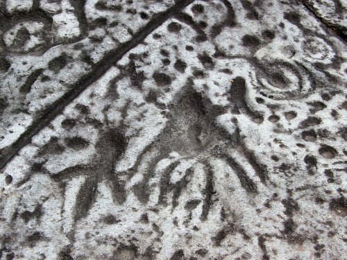 Ancient rock carving featuring abstract shapes and figures on a textured stone surface.