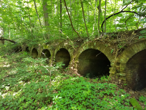 Overgrown brick arches in a lush green forest, partially hidden by trees and foliage.