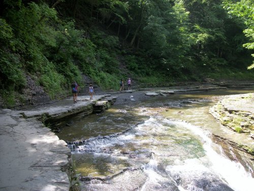 A group of people walking along a rocky riverbank surrounded by lush greenery and flowing water.