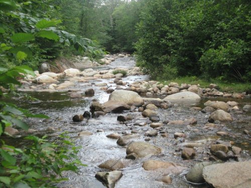 A serene river flows through a rocky landscape, surrounded by lush green trees and foliage.