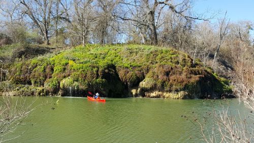 A person in a red kayak paddles along a green, lush riverbank under a clear blue sky.