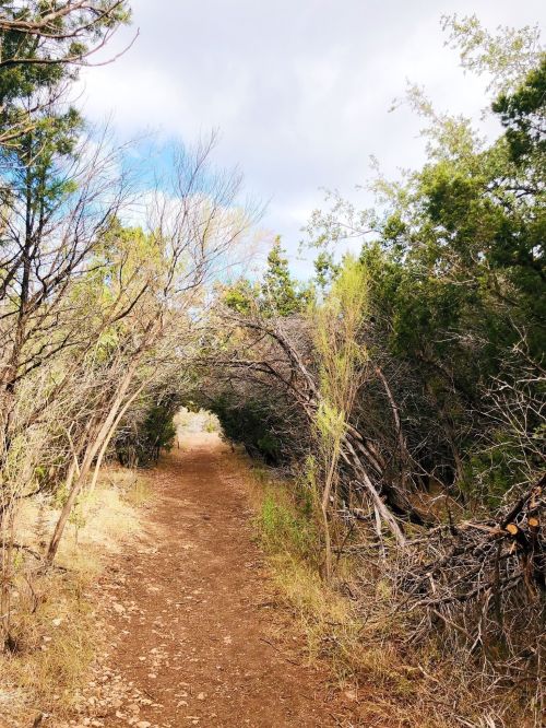 A dirt path winds through a wooded area, framed by trees and shrubs under a cloudy sky.