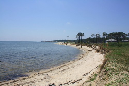 A serene beach scene with sandy shores, gentle waves, and trees lining the coast under a clear blue sky.
