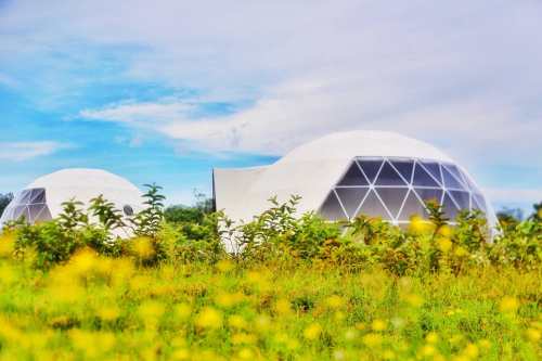 Two geodesic dome structures in a green field with yellow flowers under a blue sky.