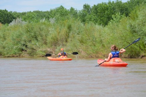 Two people kayaking on a calm river surrounded by lush greenery.