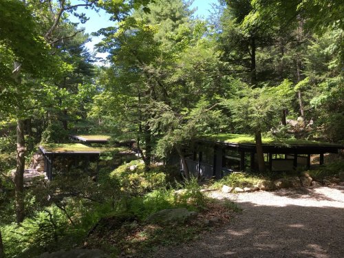 Modern buildings with green roofs nestled among lush trees in a serene forest setting. Gravel path in the foreground.