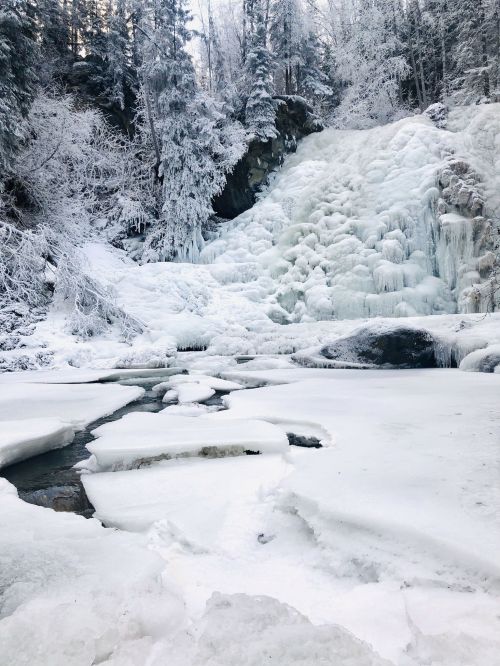 A frozen waterfall surrounded by snow-covered trees and icy terrain, creating a serene winter landscape.