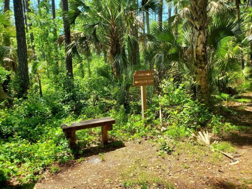 A wooden bench beside a trail sign indicating the "Yellow Loop" in a lush, green forest.