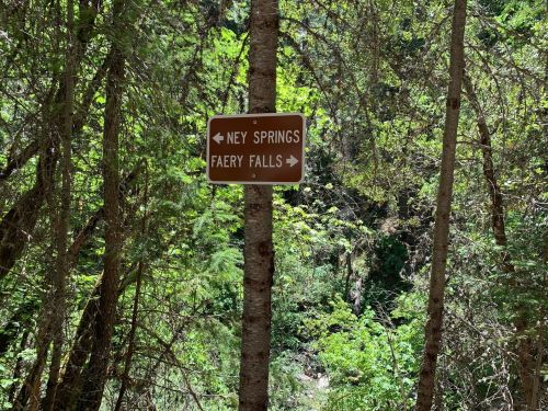 A brown directional sign on a tree pointing to Ney Springs and Faery Falls, surrounded by lush greenery.