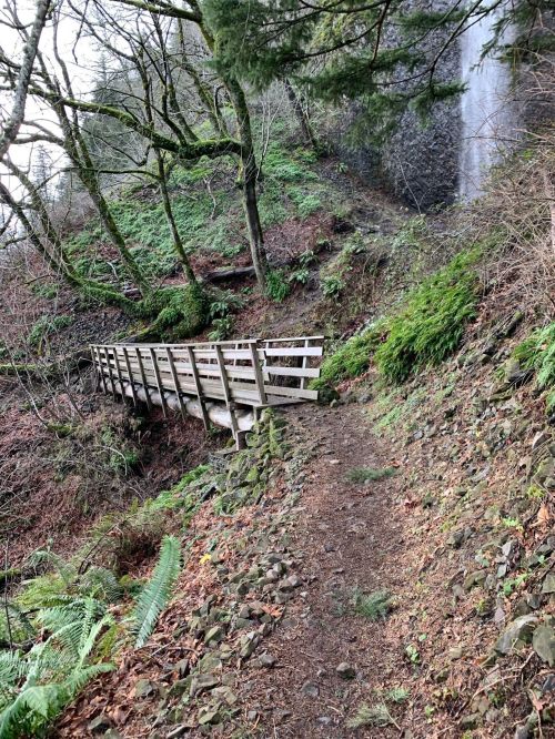 A wooden bridge spans a narrow path through a lush, green forest with a waterfall in the background.