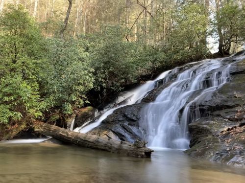 A serene waterfall cascades over rocks, surrounded by lush greenery and trees in a tranquil forest setting.
