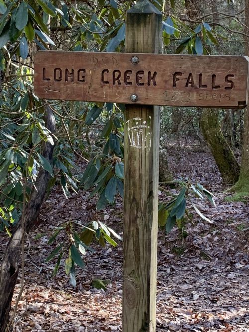 Wooden signpost in a forest directing to Long Creek Falls, with arrows indicating distances to the falls and steps.