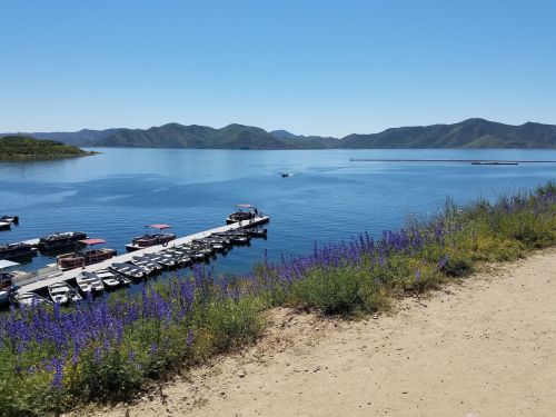 A serene lake scene with boats docked, surrounded by purple flowers and mountains under a clear blue sky.