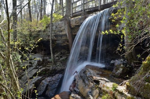 A serene waterfall cascades over rocks, surrounded by lush greenery and trees, with a wooden bridge in the background.