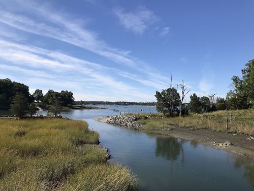 A serene river flows through tall grasses under a clear blue sky, with trees lining the banks and boats in the distance.