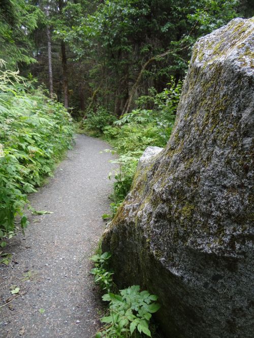A narrow path winds through lush greenery, flanked by a large moss-covered rock in a forested area.