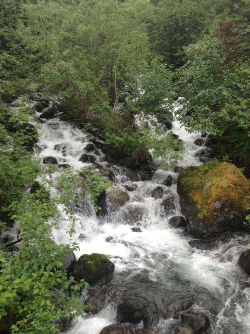 A flowing stream cascades over rocks, surrounded by lush green foliage and trees.