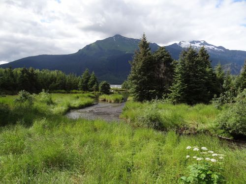 A serene landscape featuring a river surrounded by lush greenery and mountains under a cloudy sky.