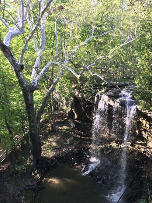 A serene waterfall cascades over rocks, surrounded by lush green trees and a peaceful stream below.